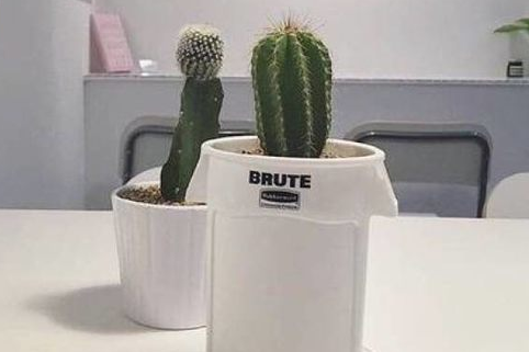 2022除夕的搞笑祝福语微信说说