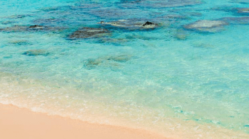 元旦节孩子的祝福语_愿你一辈子下来心上没