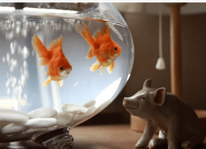 寻找复活节的祝福