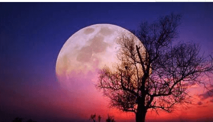 简单好听的微信名字