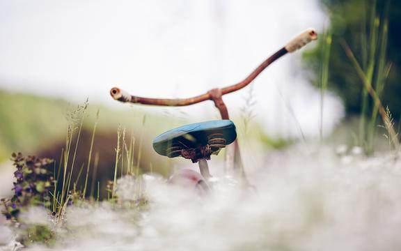 为生活奋斗的个性签名60句激情推荐、你要安静的优秀